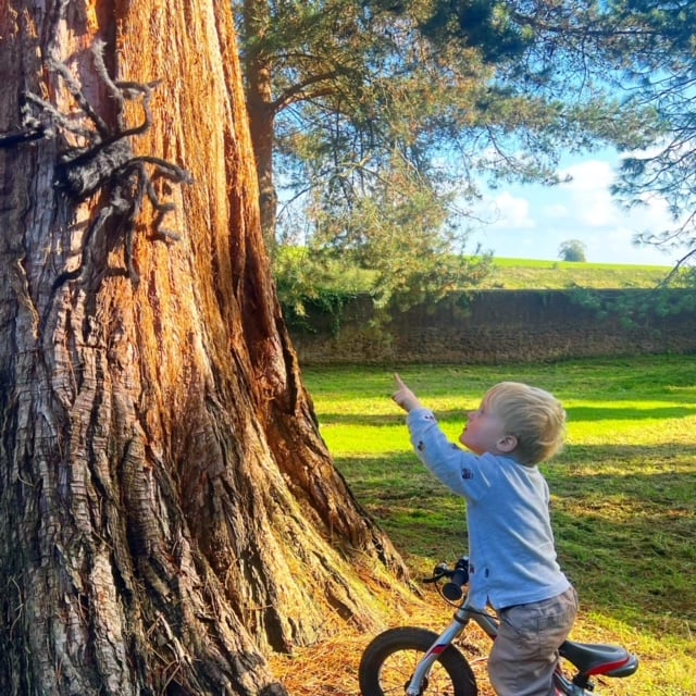 Spotting strange creatures on Nynehead Court's Halloween Spooky Trail.