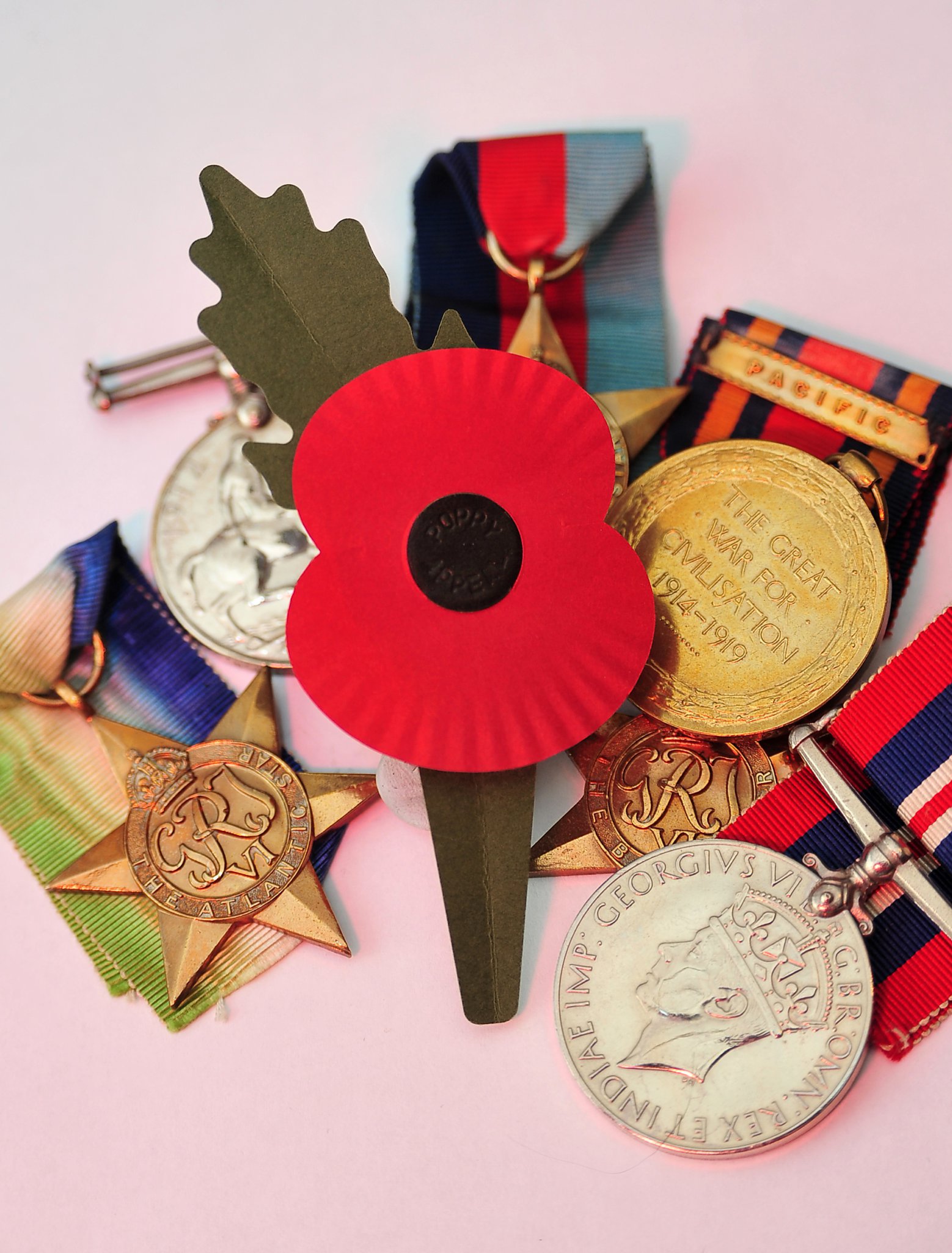 The2023 eco-friendly poppy
