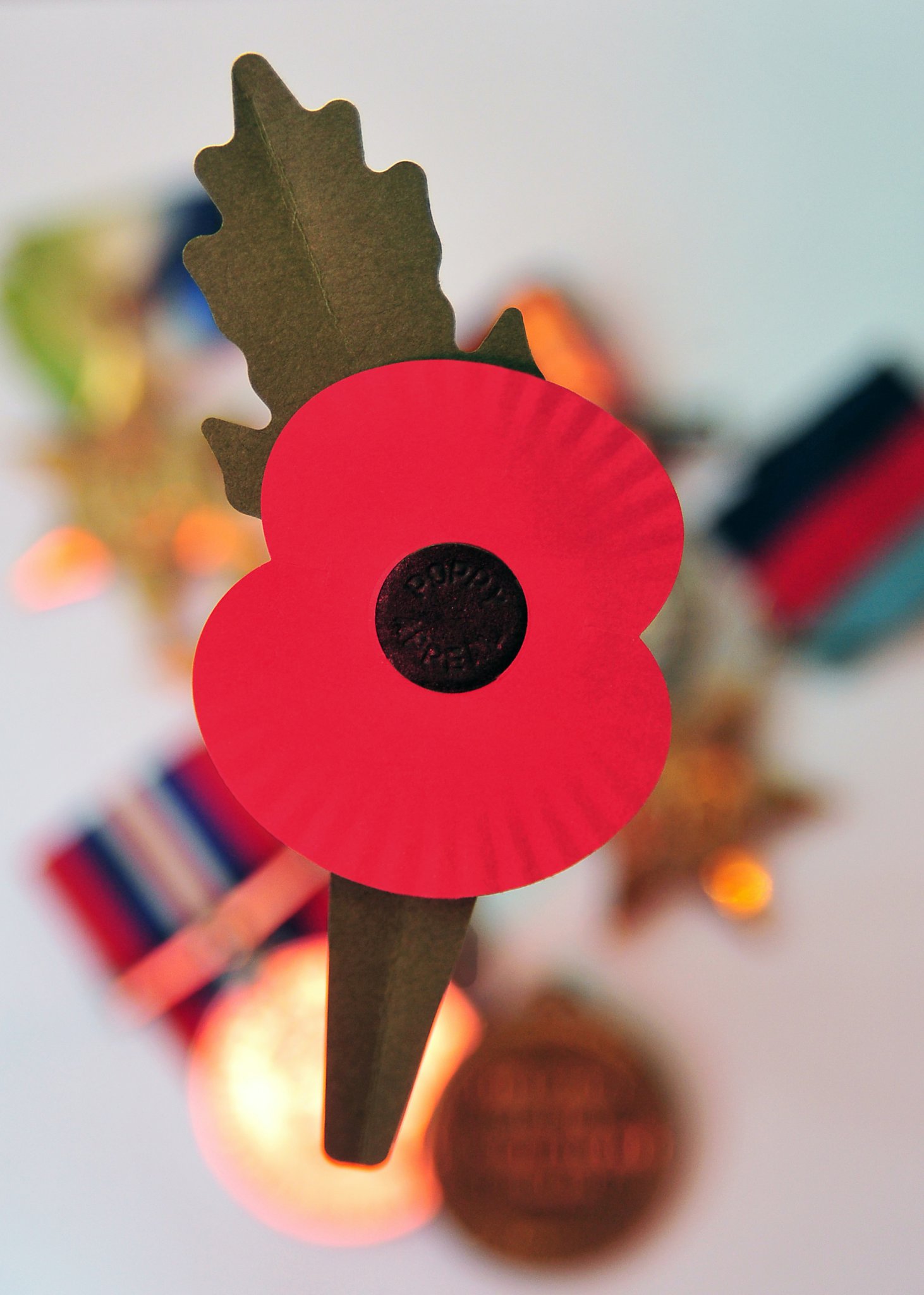 The 2023 eco-friendly poppy