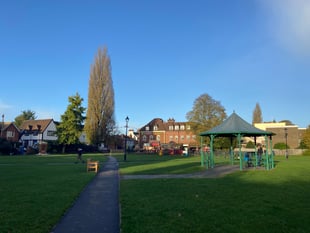 One of Farnham's tallest trees to be felled next week, council says