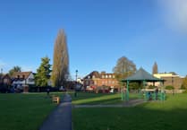 One of Farnham's tallest trees to be felled in Gostrey Meadow next week