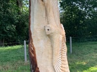<p>A barn owl was carved into a horse chestnut in Frensham in 2021 </p>