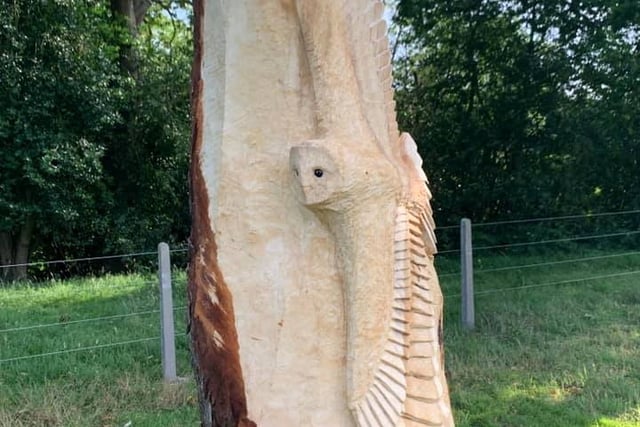 Farnham Town Council to spend £8,000 on tree carvings despite backlash