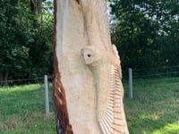 Farnham Town Council to spend £8,000 on tree carvings despite backlash