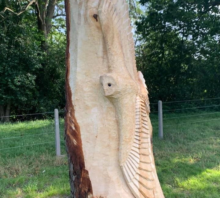 <p>A barn owl was carved into a horse chestnut in Frensham in 2021 </p>