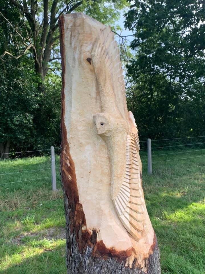 A barn owl was carved into a horse chestnut in Frensham in 2021