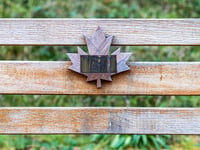 Maple Thieves: Drink left Canadian soldiers in the dock