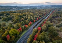 Stunning photos of A3's autumnal memorial to 418 Canadian war heroes