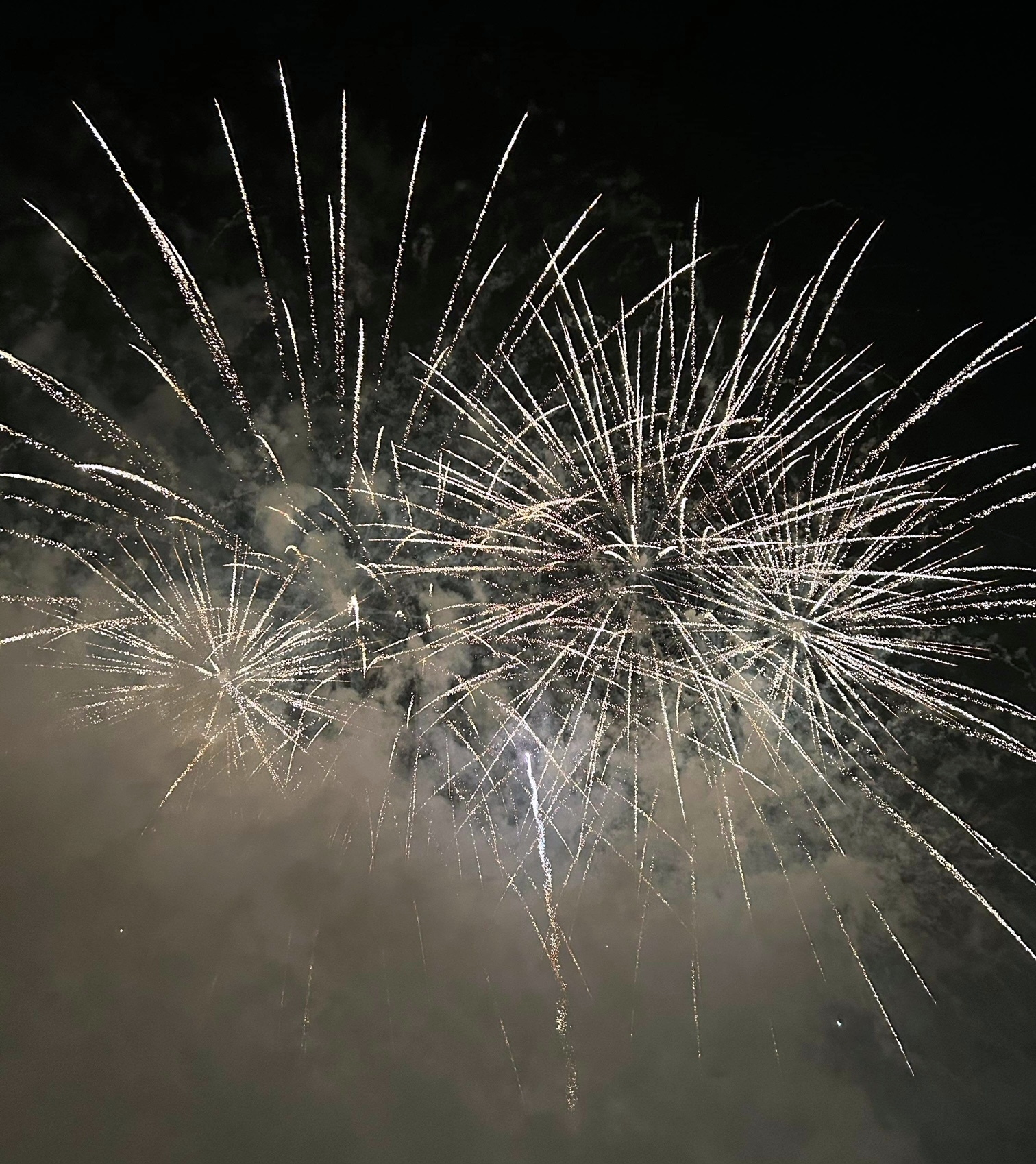 Tavistock Lions fireworks