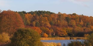 Frensham Ponds' brilliant bogs scoop Loo of the Year award