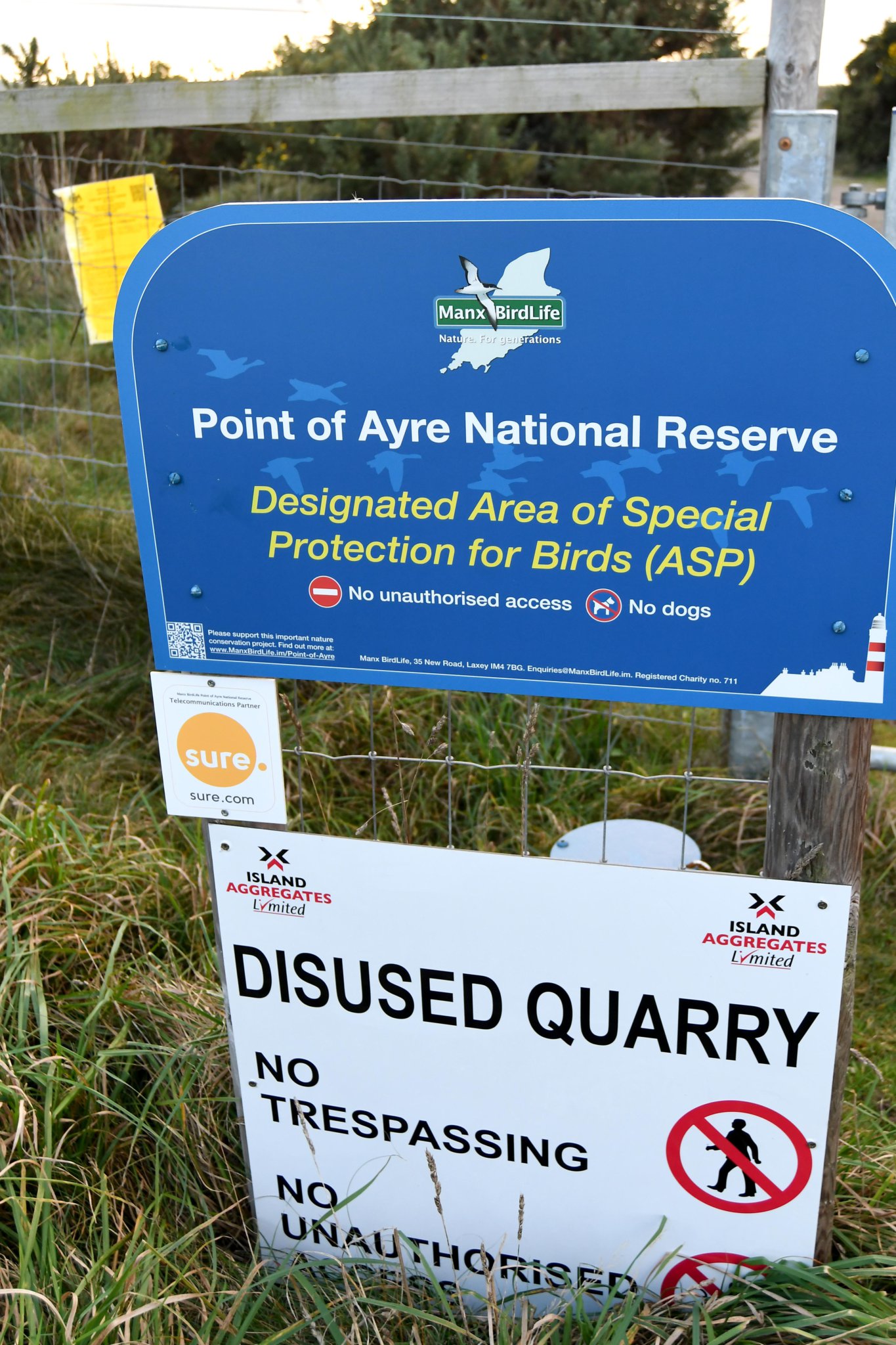 The Point of Ayre national nature reserve, a restoration project led by by Manx Birdlife