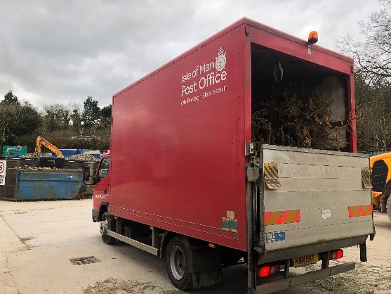 Christmas Tree Collection Service
