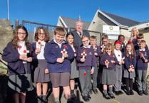 Pupils wearing poppies