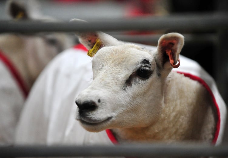 AgriFest 2023 at Westpoint