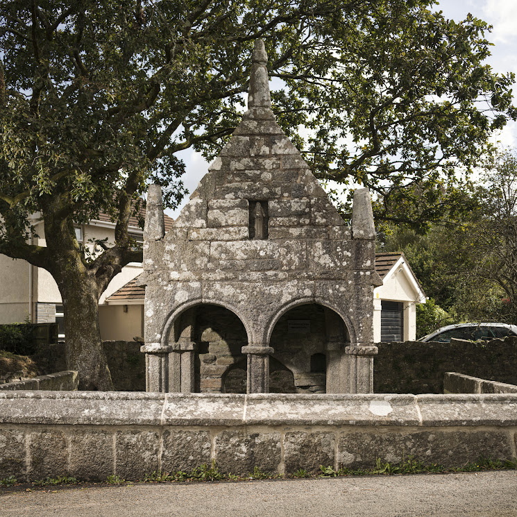 Heritage at Risk 2023.St Cleer's Well and Cross, Well Lane, St Cleer, Cornwall.View of the medieval holy well known as St Cleer's Well. View from the north-west.