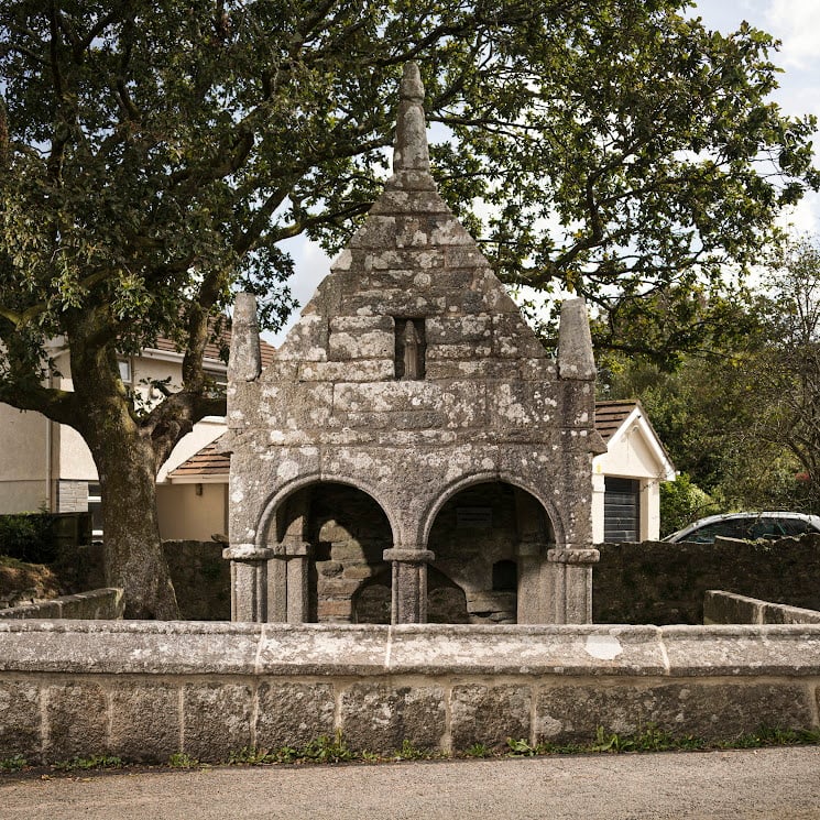 Heritage at Risk 2023.St Cleer's Well and Cross, Well Lane, St Cleer, Cornwall.View of the medieval holy well known as St Cleer's Well. View from the north-west.
