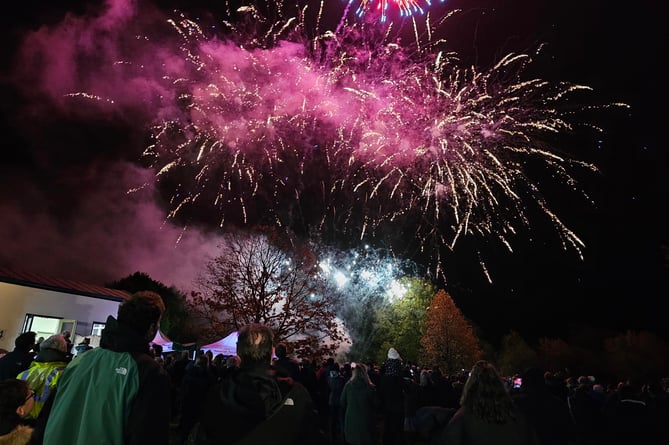 Haslemere Museum's fireworks night