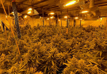 Two men charged after Farnham cannabis farm raided by police