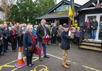 Gallery: Incredible photos show hidden details of Remembrance Sunday in Farnham