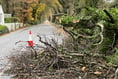 Wind speeds near 80mph during storm