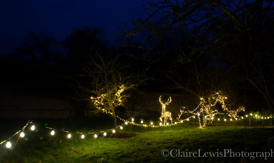 <p>From December 18, Chawton House's gardens will be lit up and open to explorers from 3pm to 6.30pm each evening for its Glimmering Gardens display</p>