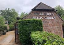 Volunteer to help out at the Petersfield Physic Garden