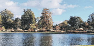 Surrey Hills music festival returns for 17th year