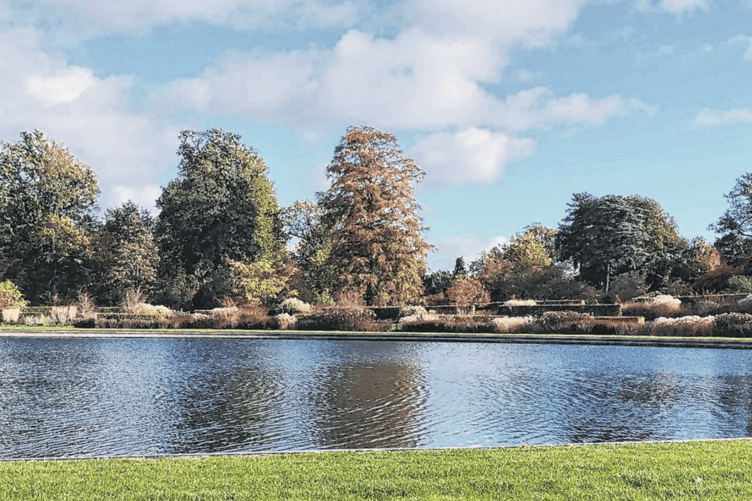 Many trees at RHS Garden Wisley are just beginning to change colour