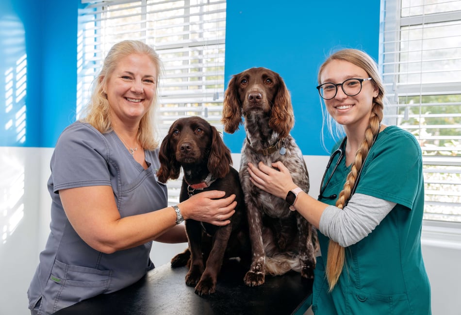 <p>Epsi and Marley with vet Lisa Blackford (left) and veterinary nurse Courtney Line</p>