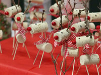 Treloar's holding Christmas Fair at its Holybourne campus