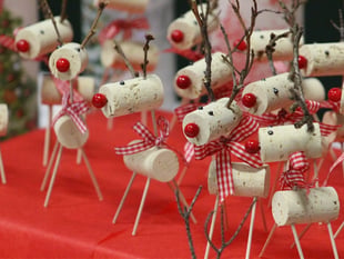 Treloar's holding Christmas Fair at its Holybourne campus