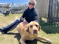 <p>Emma Williams, formerly of the Stirling Sandwich Shop in Castle Street, has organised pet food collection points in and around Farnham to aid struggling pet owners this festive season</p>