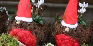 Win a £250 voucher to spend in-store at Squire’s Garden Centres