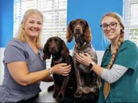 Mushroom poisoning fears of dog walkers in Petersfield