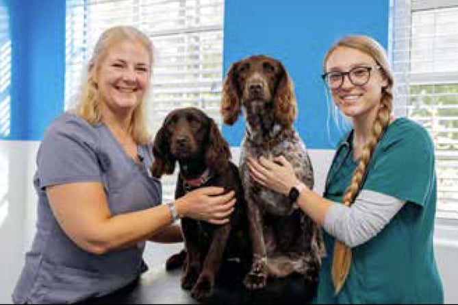 Epsi and Marley with vet Lisa Blackford and veterinary nurse Courtney Line.