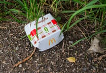 Tice’s Meadow Bird Group: Why we strongly object to McDonald’s drive-thru
