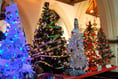 Christmas tree festival will turn Alton church into winter wonderland