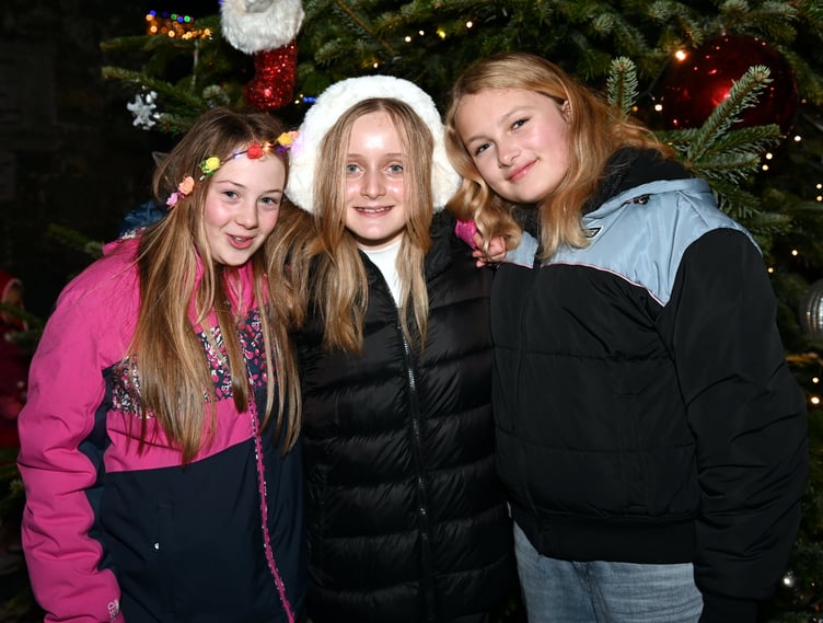 Friends together Daisy, Merryn and Bailey