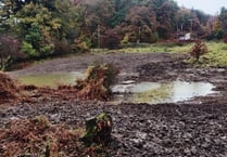 Ponds created in Cinderford to help wildlife during dry weather spells