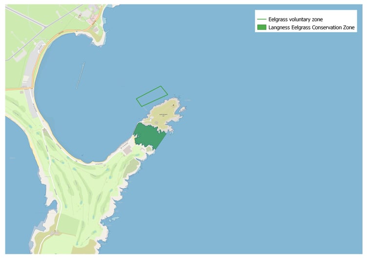 Eelgrass at Langness. The green shaded area is in a conservation area. The green box is an area of eelgrass that has since been found