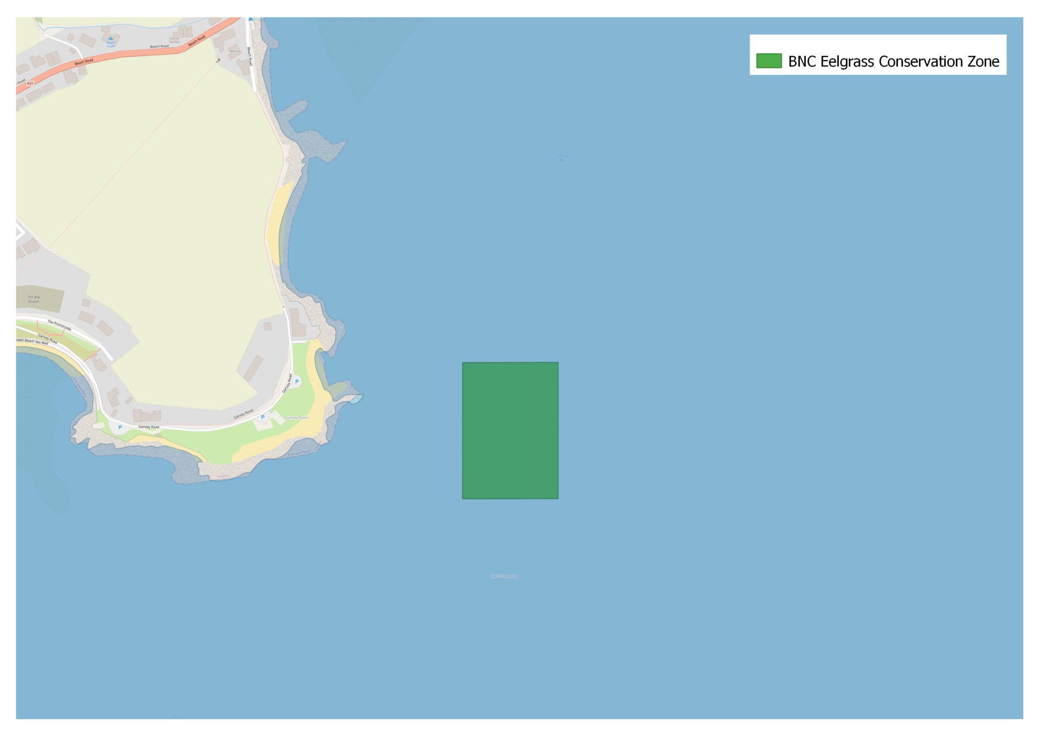 The eelgrass conservation zone at Gansey
