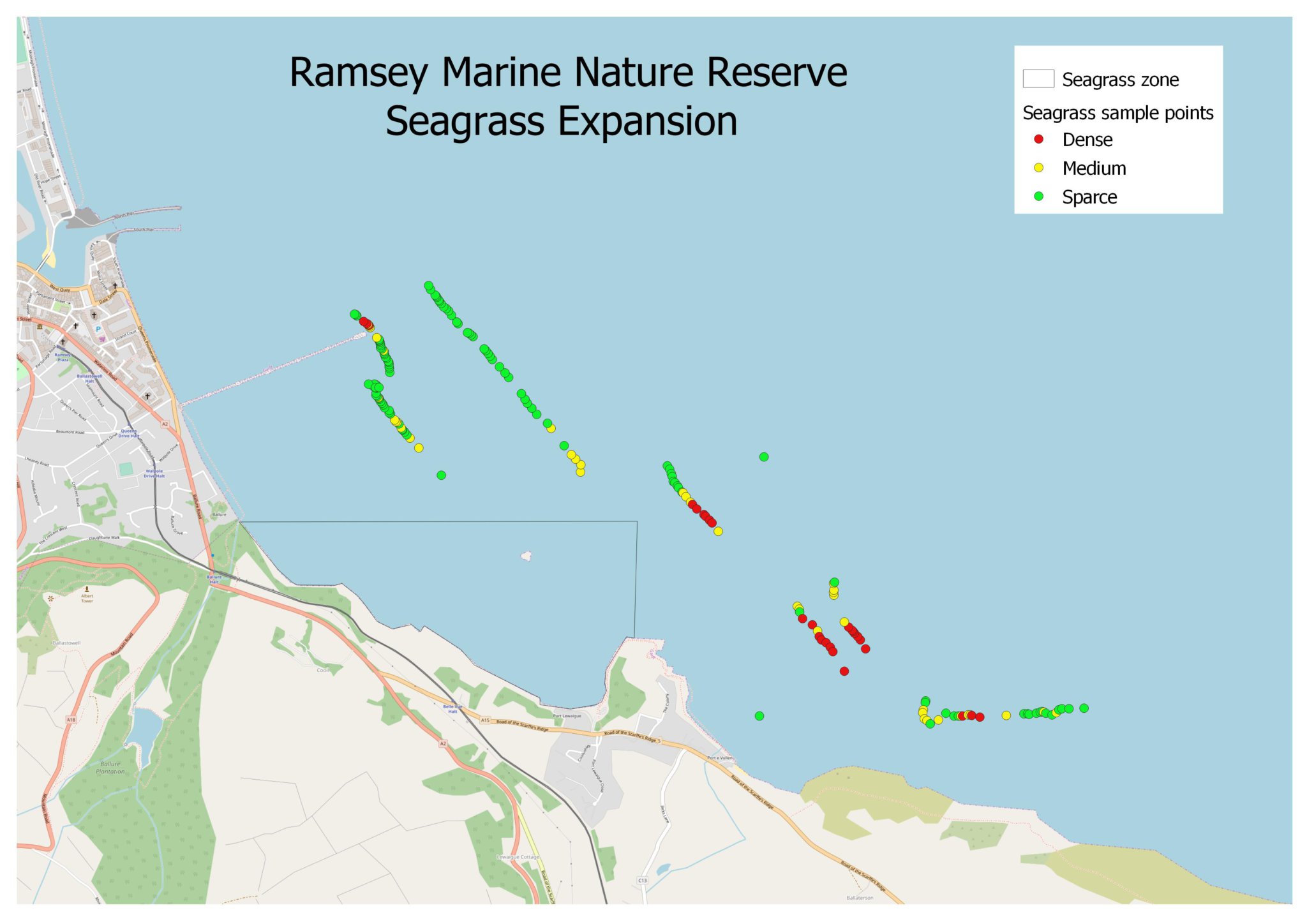 Seagrass expansion in Ramsey Bay