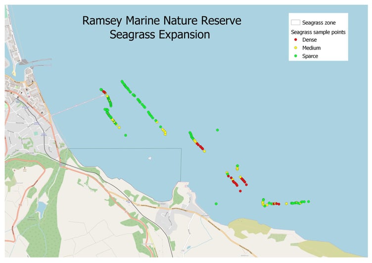 Seagrass expansion in Ramsey Bay