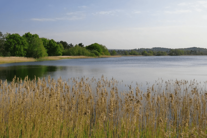 Frensham Little Pond, creating a peaceful atmosphere.