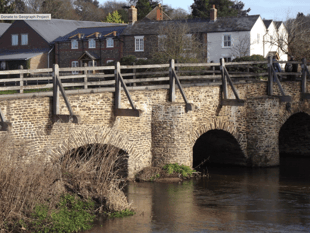 River Wey water quality shows improvement
