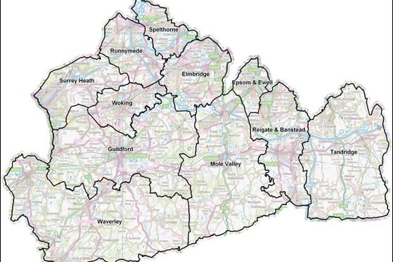 Waverley and Guildford borough councils have already merged many of their back-office staff and services