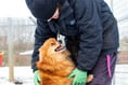 Tips to keep animals safe in colder months