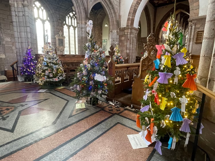 Some of the trees at Crediton Parish Church Christmas Tree Festival. AQ 1481