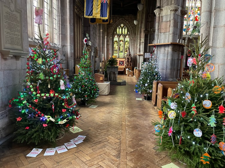 Some of the trees at Crediton Parish Church Christmas Tree Festival. AQ 1525