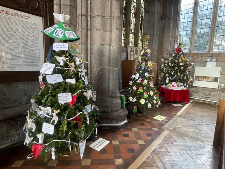 Some of the trees at Crediton Parish Church Christmas Tree Festival. AQ 1453